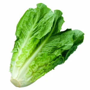 champiñones shitake