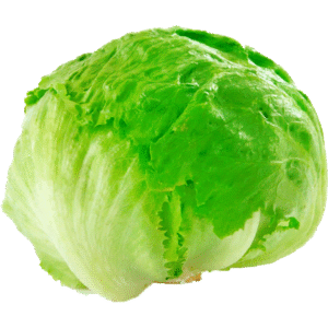 champiñones shitake