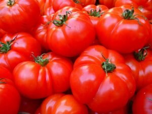 Inicio Tomate Limachino