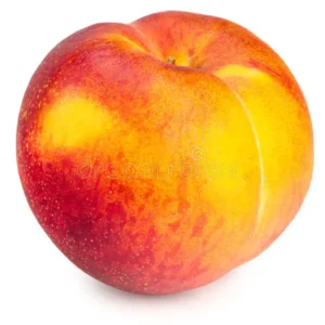 champiñones shitake