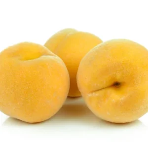 champiñones shitake