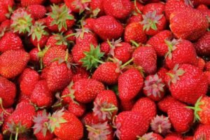 Inicio Frutillas