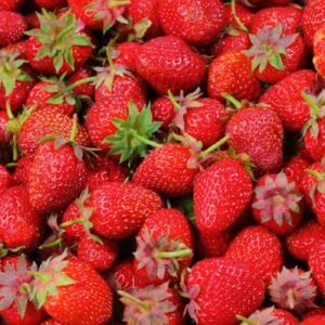 frutillas