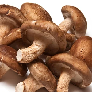 champiñones shitake