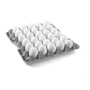 huevos
