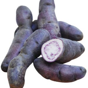champiñones shitake