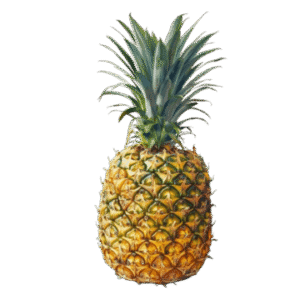 Inicio Piña